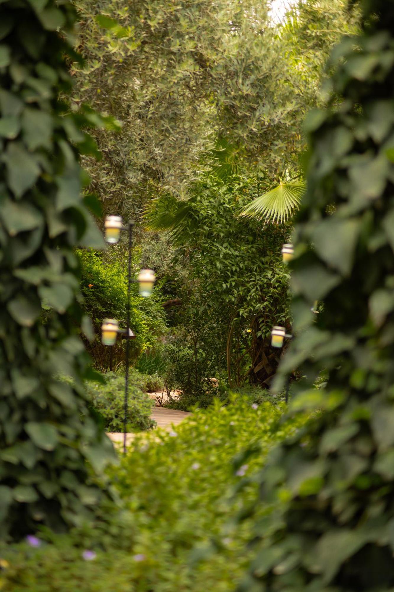 Olinto, Atlas Mountain Retreat - Adults Only ويرڭان المظهر الخارجي الصورة